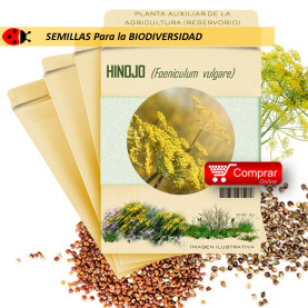 HINOJO Foeniculum vulgare semillas x 10 g
