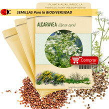 ALCARAVEA Carum carvi semillas x 10 g