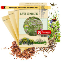 BUFFET DE INSECTOS semillas x 100 g