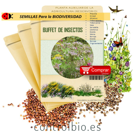BUFFET DE INSECTOS semillas x 100 g