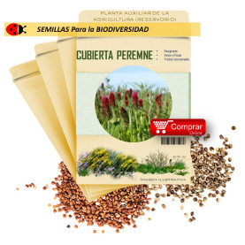 MEZCLA PEREMNE semillas x 100 g