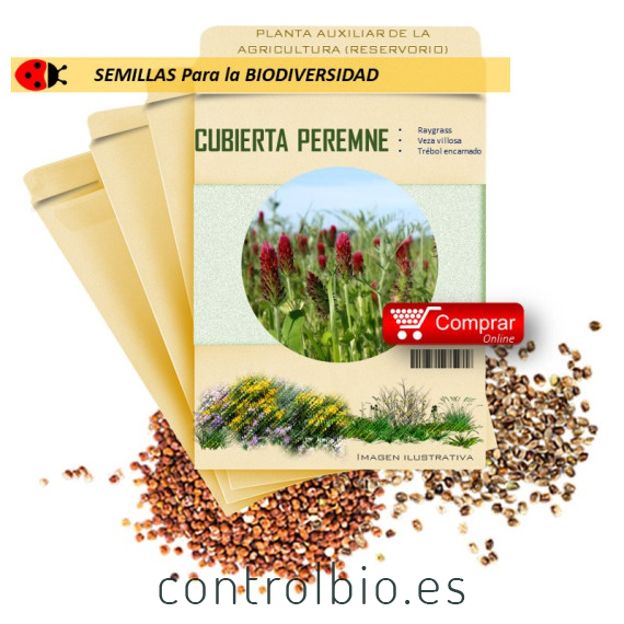 MEZCLA PEREMNE semillas x 100 g
