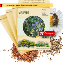 MEZCLA MELÍFERA semillas x 25 g