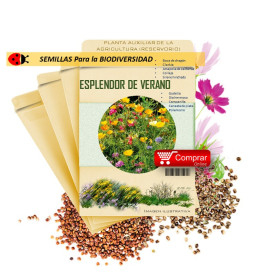 MEZCLA MELÍFERA semillas x 25 g