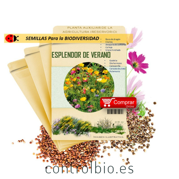 MEZCLA MELÍFERA semillas x 25 g