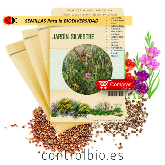 JARDÍN SILVESTRE semillas x 5 g