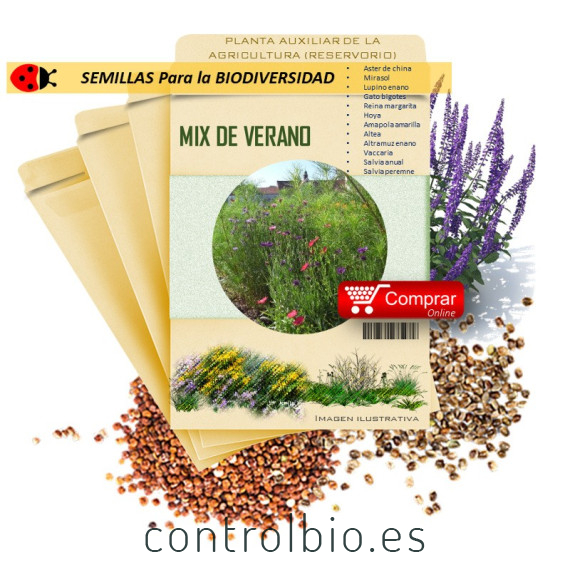 JARDÍN SILVESTRE semillas x 5 g