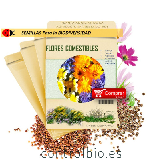 FLORES COMESTIBLES semillas x 5 g