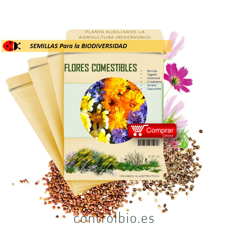 FLORES COMESTIBLES semillas x 5 g