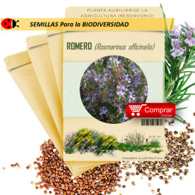 ROMERO Rosmarinus officinalis semillas x 1 g