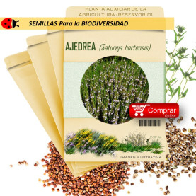 AJEDREA Satureja hortensis semillas x 2,5 g