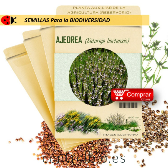 AJEDREA Satureja hortensis semillas x 2,5 g