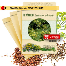 LEVÍSTICO Levisticum officinalis semillas x 2,5 g