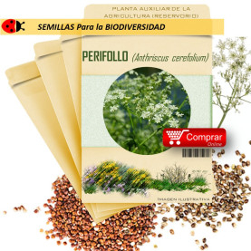 PERIFOLLO Anthriscus cerefolium semillas x ,5 g