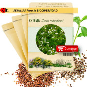 ESTEVIA Stevia Rebaudiana  x 50 semillas