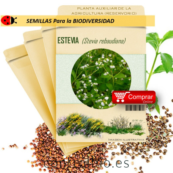 ESTEVIA Stevia Rebaudiana  x 50 semillas