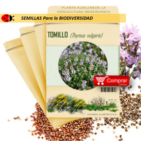 TOMILLO Thymus vulgaris semillas x 1 g