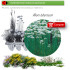 Venta de ALLIUM TUBEROSUM (Cebollino chino) BF 40/260