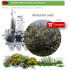Venta de AMELANCHIER OVALIS (Guillomo) BF40/260