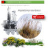 Venta de AMPELODESMOS MAURITANICUS (Carrizo) BF 40/260