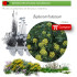 Venta de BUPLEURUM FRUTICOSUM (Adelfilla) BF 45/220