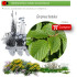 Venta de CARPINUS BETULUS (Carpe) BF 28/400