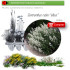 Venta de CENTRANTHUS RUBER (Alfeñique) BF 40/260