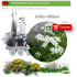 Venta deACHILLEA MILLEFOLIUM (Milenrama) AH 54