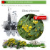 Venta de COLUTEA ARBORESCENS (Espantalobos) AF 28/400