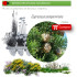 Venta de CUPRESSUS SEMPERVIRENS (Ciprés) BF 60/200