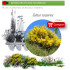 Venta de CYTISUS SCOPARIUS (Retama negra) BF 45/220