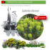 Venta de EUPHORBIA CHARACIAS (Tártago mayor) BF 40/260