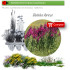 Venta de GLADIOLUS ILLYRICUS (Gladiolo silvestre) BF40/260
