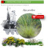 Venta de STIPA PARVIFLORA (Hopillo) BF 40/260