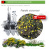 Venta de POTENTILLA NEUMANNIANA BF 40/260