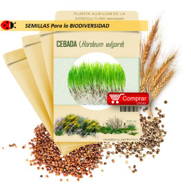CEBADA (Hordeum vulgare) semillas 1.000 g
