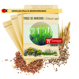 TRIGO DE INVIERNO (Triticum spp) semillas 1.000 gr