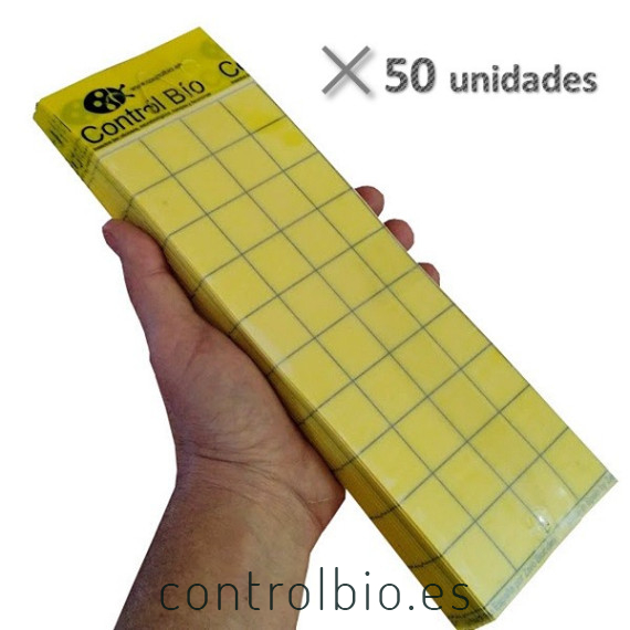 Placa amarilla individual CBi 10 x 30 cm (50 ud)