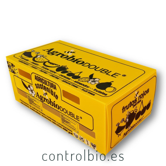 COLMENA DOBLE de frutales