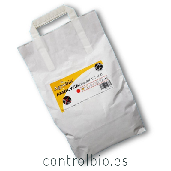 AMBLYCACONTROL 125.000 Californicus depredador de araña roja