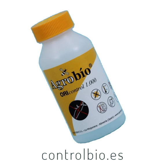 ORICONTROL ninfas de Orius laevigatus