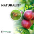 NATURALIS-L insecticida biológico de Beauveria bassiana 1L