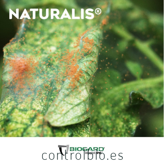 NATURALIS-L insecticida biológico de Beauveria bassiana 1L
