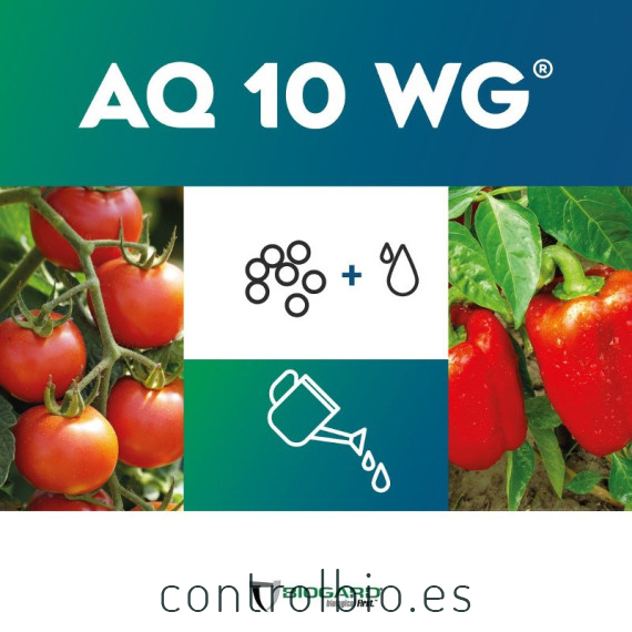 AQ-10 fungicida biológico anti oidio
