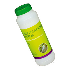 CRYPTOLAEMUS SYSTEM 500 mariquitas depredadoras de cotonet