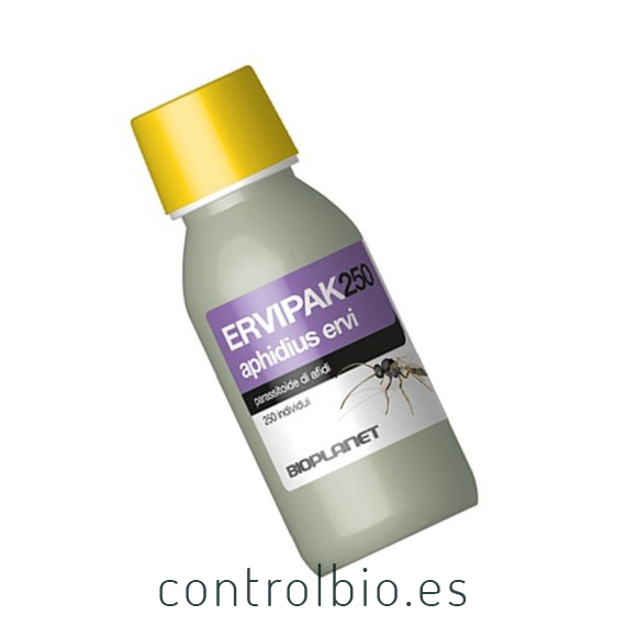 ERVIPAK 250 Aphidius ervi parasitoide de pulgones grandes