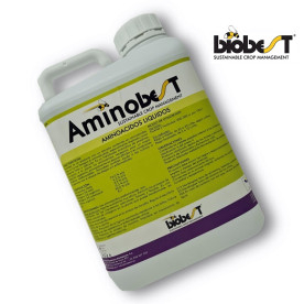 AMINOBEST 5L