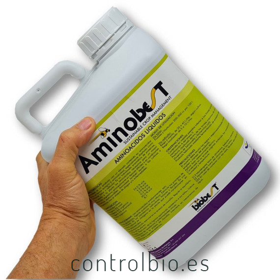 AMINOBEST 5L