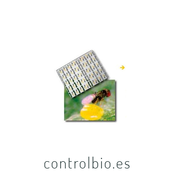 TRICHOCONTROL tarjetas Trhichogramma achaeae