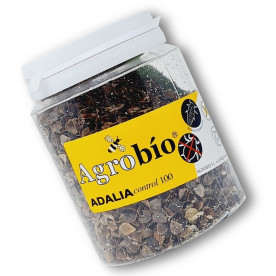 ADALIAcontrol 100 larvas Adalia bipunctata contra pulgón
